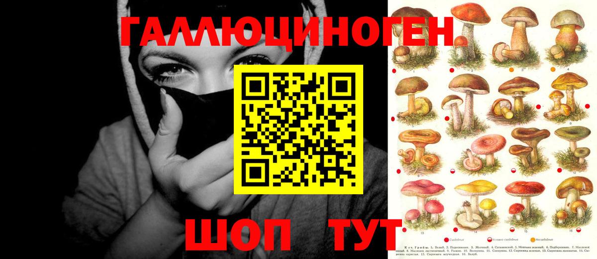 Псилоцибиновые грибы прущие грибы Грозный