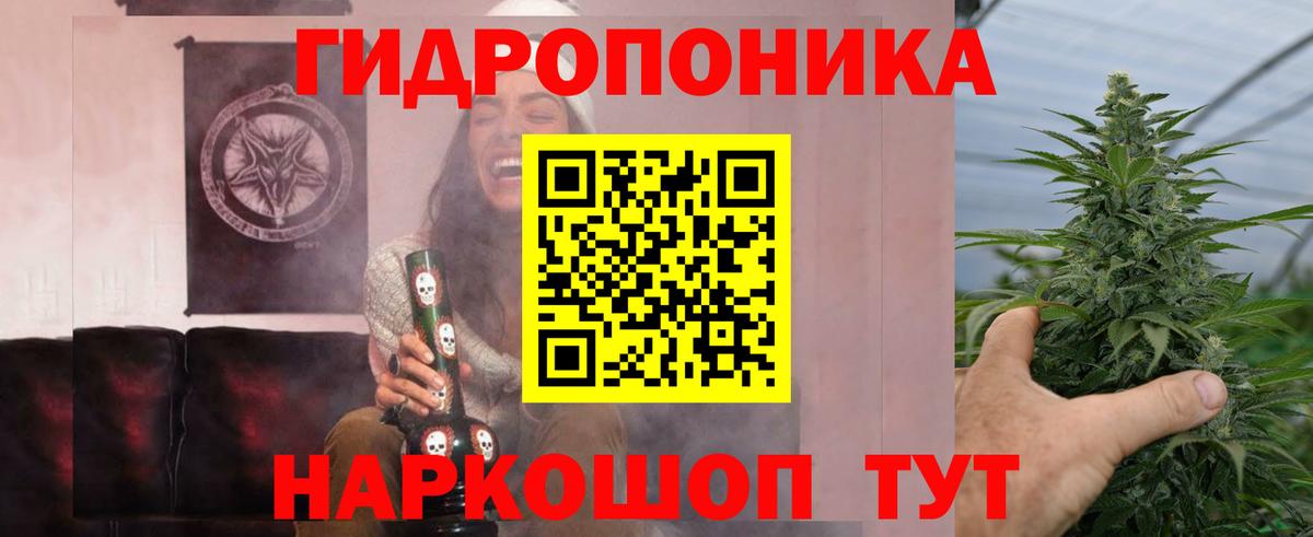 Шишки марихуана планчик Грозный